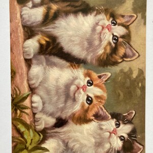 Twee grote ansichtkaarten kat, meisje, hond Collectibles