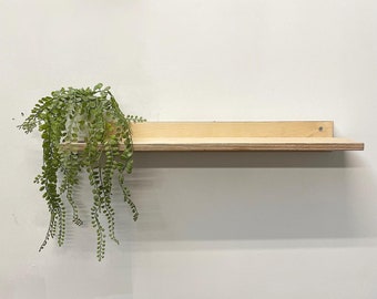 Minimal birch ply display shelf
