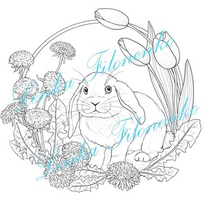 Coloring page Line art, Easter bunny, Cute animal coloring page PDF download and print image 2