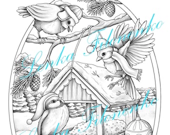 Download Birds Coloring Page Etsy