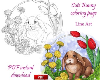 Coloring page Line art, Easter bunny, Cute animal coloring page - PDF download and print