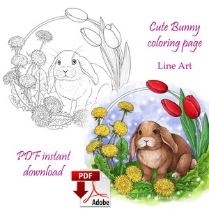 Coloring page Line art, Easter bunny, Cute animal coloring page PDF download and print image 1