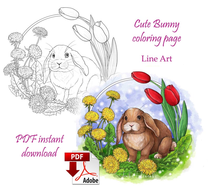 Coloring page Line art, Easter bunny, Cute animal coloring page PDF download and print image 1