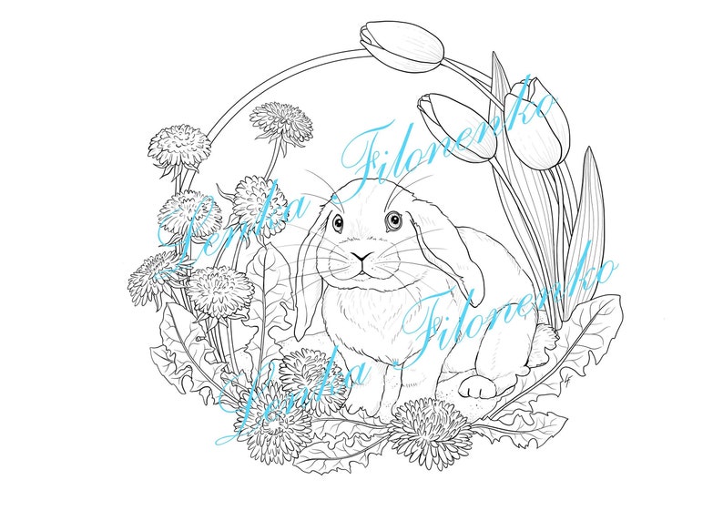 Coloring page Line art, Easter bunny, Cute animal coloring page PDF download and print image 2