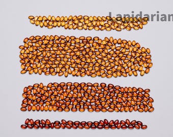 May include: Four rows of amber-colored capsules arranged horizontally on a white background.