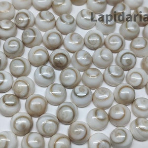 May include: A collection of white and brown shell cabochons with a spiral pattern. The cabochons are approximately 1/2 inch in diameter.