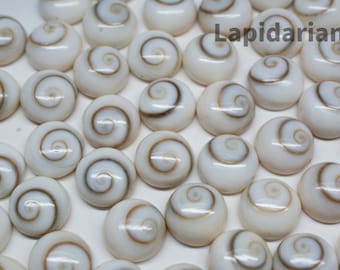 Shiva Eye Shell Cabochons 10mm Rounds 1st Quality