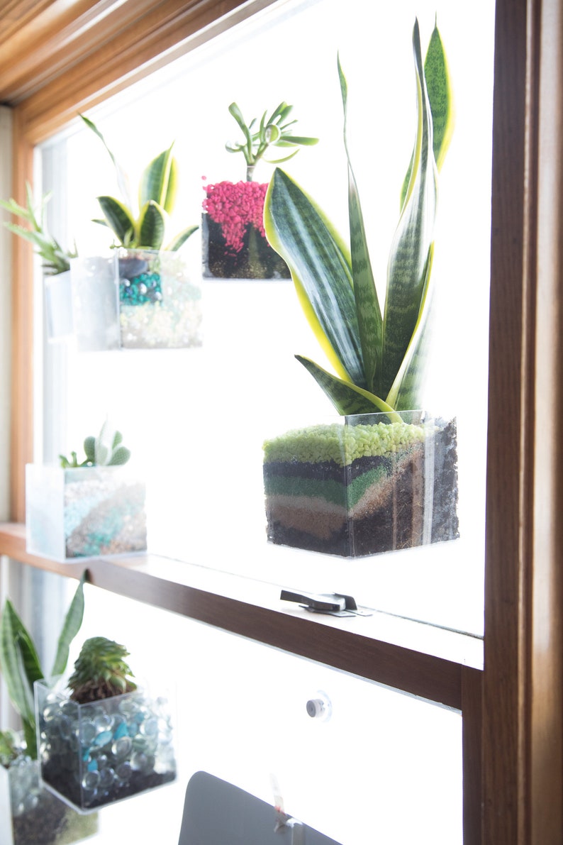Window Planter Suction Cup 3 Inch Cube Style Planter that Etsy