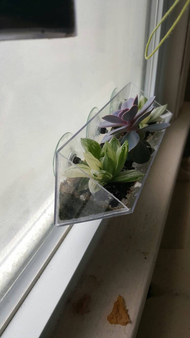 Suction Cup Window Planter Long Triangular Window Box Style Etsy