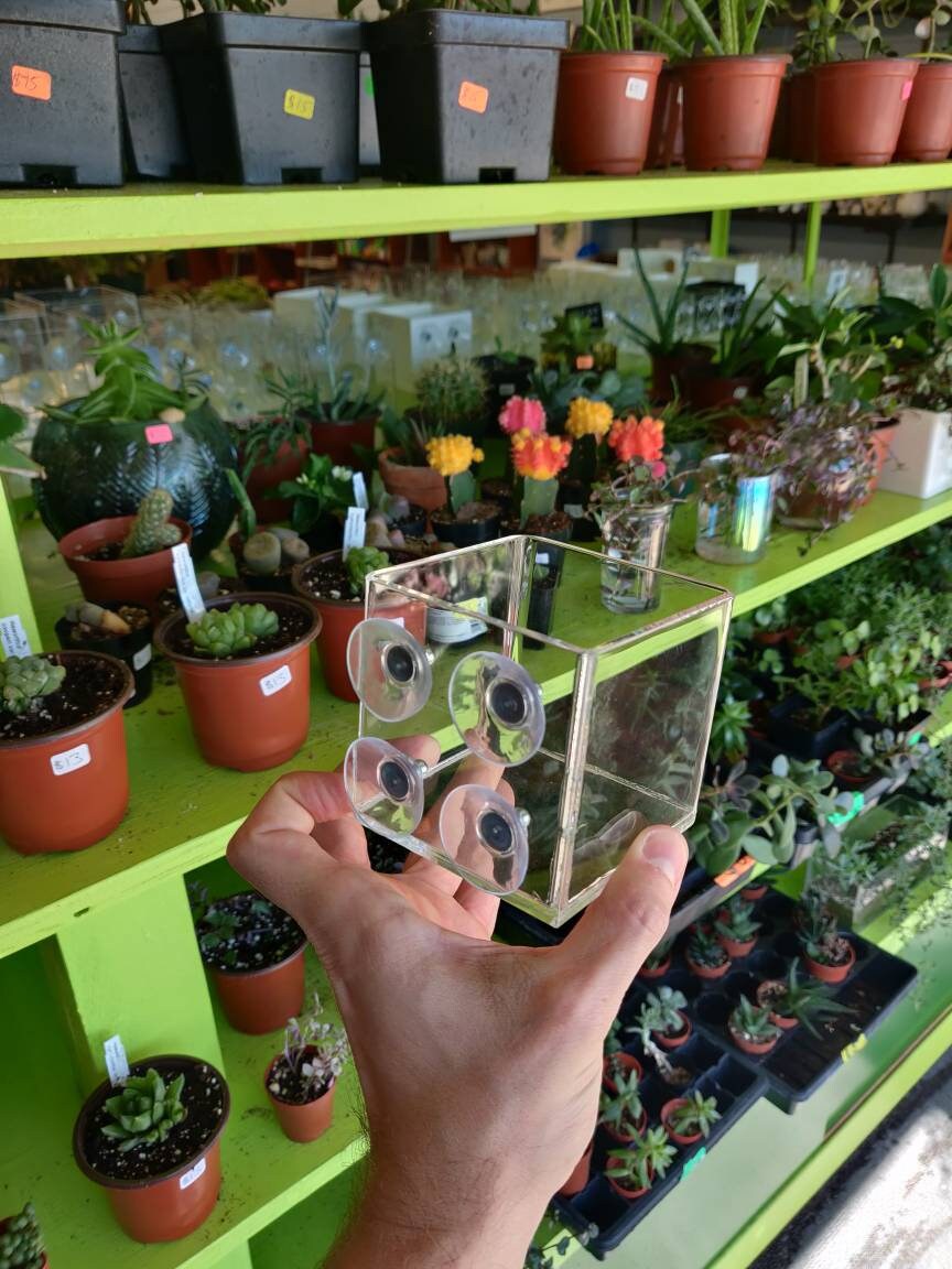 Binne-vensterplanter-werf etsy.com