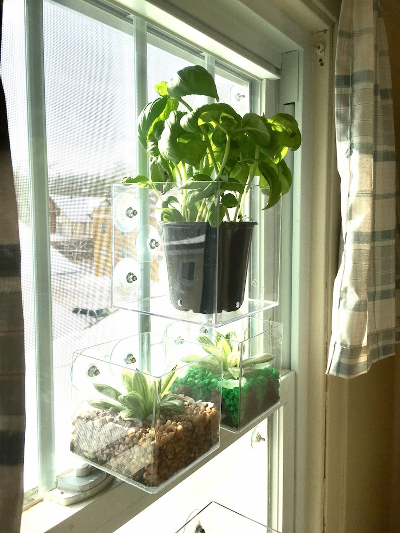 Suction Cup Window Planter 5 Inch Cubed Style Planter that Etsy