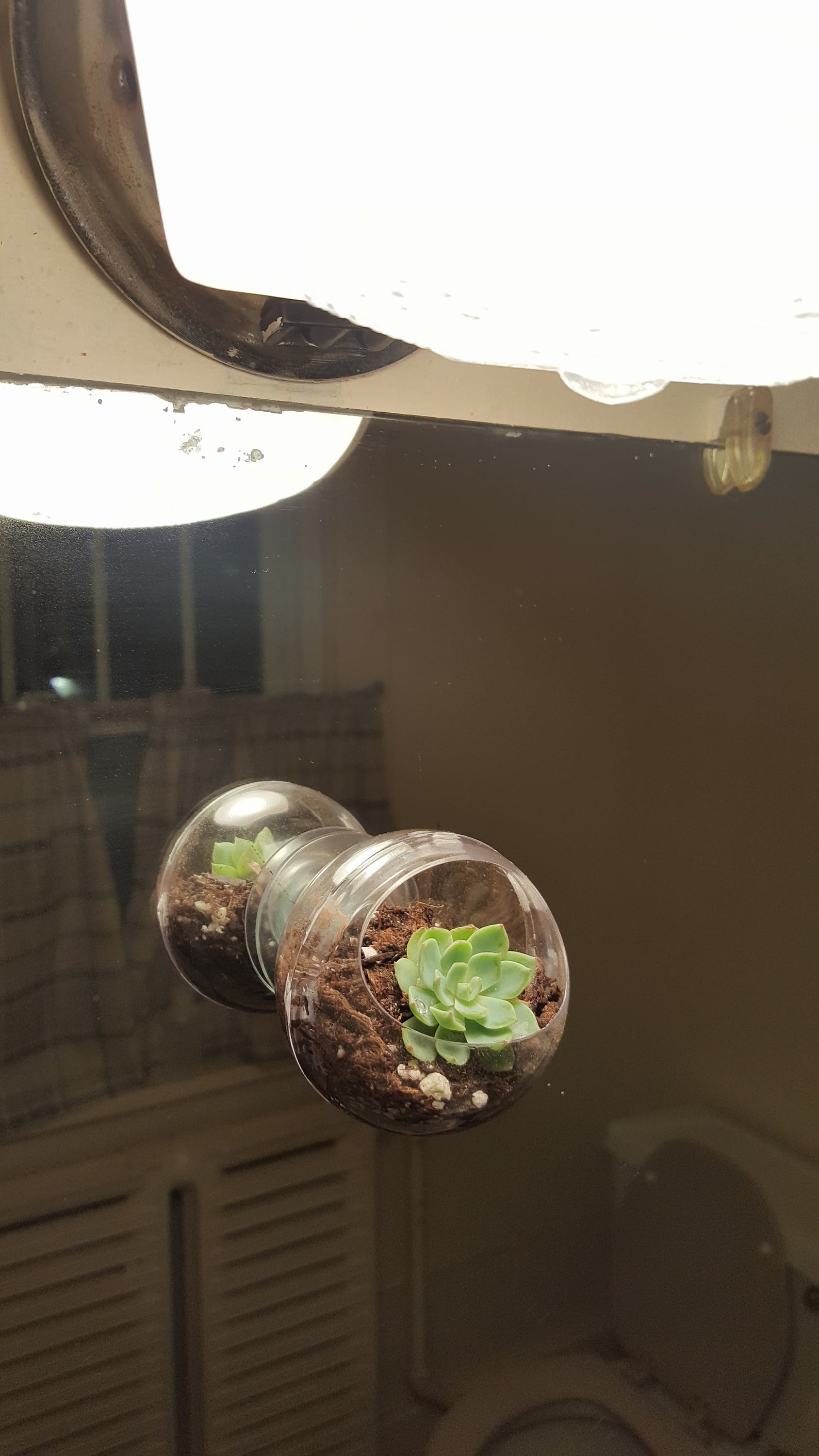 Window Planter Suction Cup 2 Inch Sphere Style Planter that Etsy