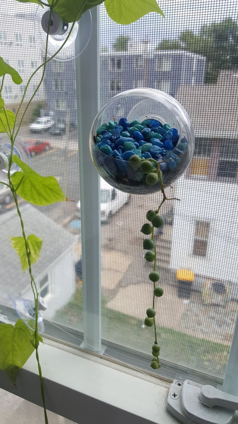 Window Planter Suction Cup 2 Inch Sphere Style Planter that Etsy
