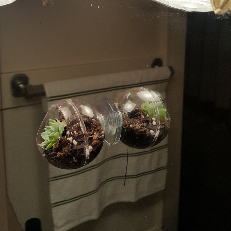 Window Planter Suction Cup 2 Inch Sphere Style Planter that Etsy