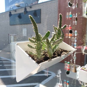 Suction Cup Window Planter - White Long Triangular Window Box Style - 8&quot; long x 4&quot; x 4&quot; - Easy to attach and works brilliantly!