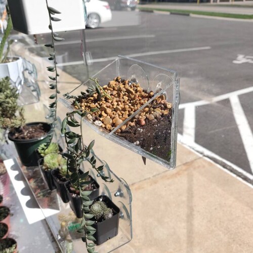 Suction Cup Window Planter 4 Inch Triangular Style Planter Etsy