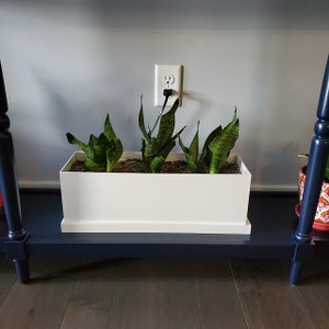 May include: A white planter with a dark green snake plant inside. The planter is sitting on a dark blue shelf. There is a white electrical outlet with a black cord plugged into it behind the planter.