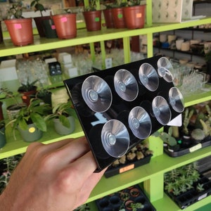 Black Shelves - Various Sizes - Window Attaching or Mirror Attaching via Suction Cups