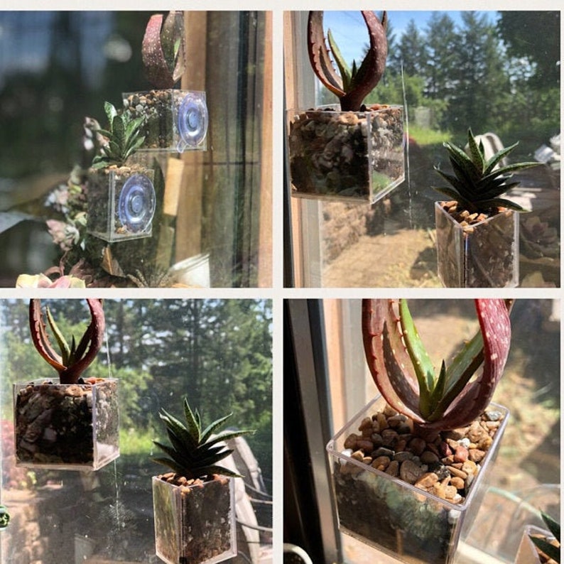 Suction Cup Window Planter 2 Inch Cube Style Planter that Etsy