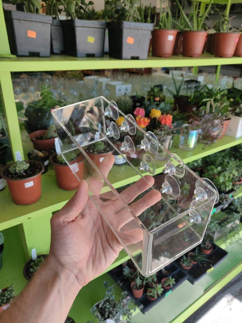 Suction Cup Window Planter 9x3x3 Large Etsy