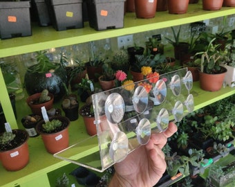 Window Shelves Clear - Various Sizes - Clear Window Shelf - Custom - Window Attaching Suction Cup - Works Great and Well Tested Product!