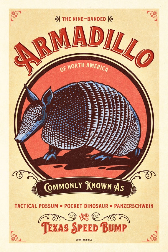SO FAR SO GOOD 【Armadillo】 Retro Style Humorous Armadillo Poster - Nine-banded