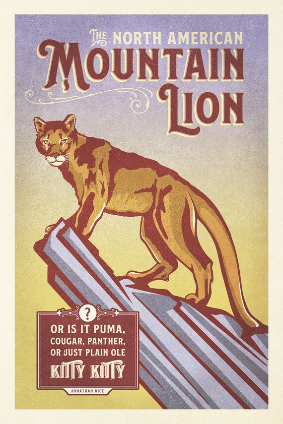 タマゴラス BEAR LION SQUIRREL plain message タマゴラス BEAR LION SQUIRREL plain message タマゴラス BEAR LION