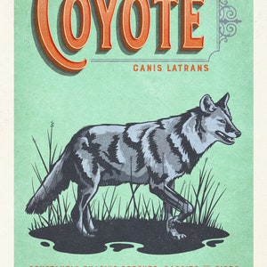 Retro Style Humorous Coyote Poster - Coyote Print - American Animals ...