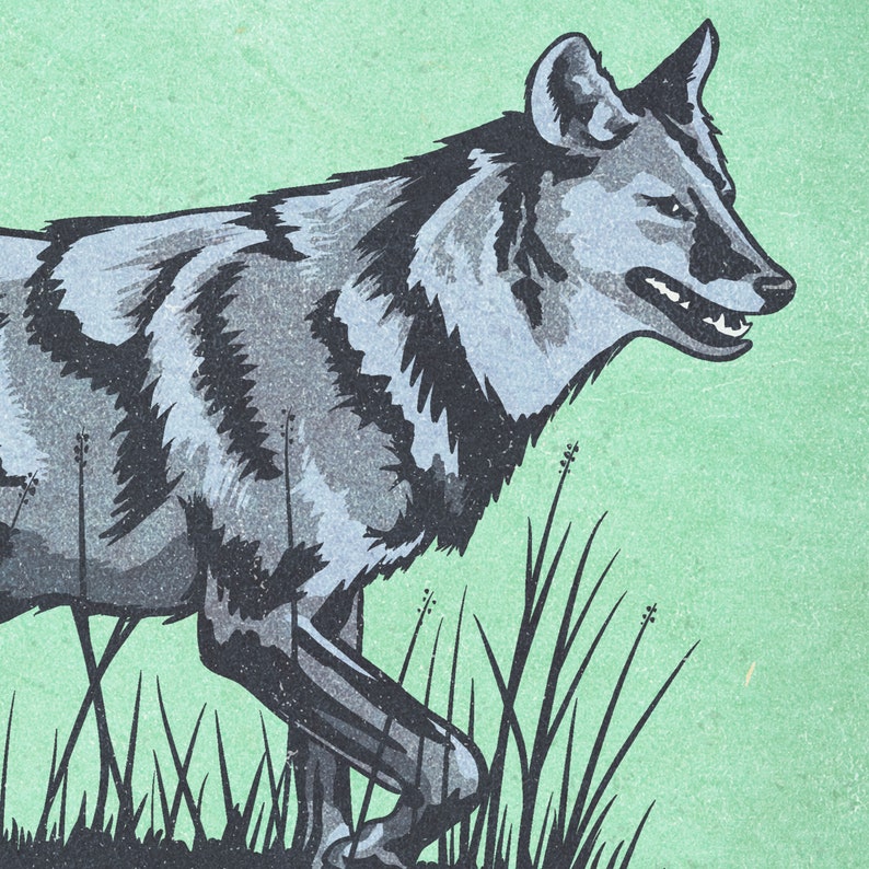 Retro Style Humorous Coyote Poster Coyote Print American | Etsy