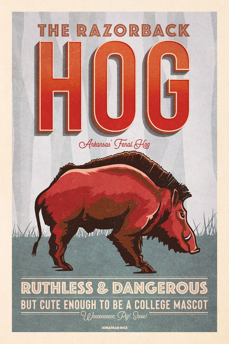 Retro Style Humorous Arkansas Razorback Poster Arkansas - Etsy