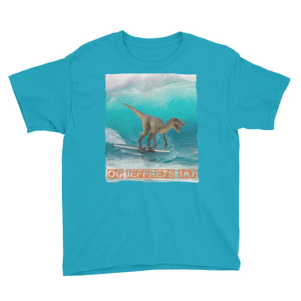 Dinosaur Shirt Trex Shirt Dinosaur Tshirt Kids Etsy