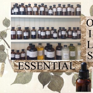 PALO SANTO Ecuador Essential Oil Therapeutic Healing Properties, Holy Oil