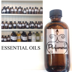 CINNAMON LEAF Essential Oil Amber or Cobalt Vials 1 or 2  Drams, 1/2 and 1 Oz Volumes at Wholesale Bulk Discounts Aromatherapy Supplies
