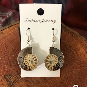 May include: A pair of silver dangle earrings with a brown and white ammonite fossil design. The earrings are on a white card with the text "Fashion Jewelry".