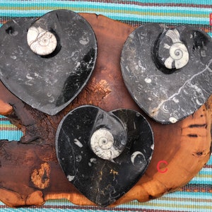 Ammonite Fossil Heart Dishes - Orthoceras Fossils- Wedding Ring Dishes - Heart Bowl - Home Decor - Preserved Natural History - Moroccan