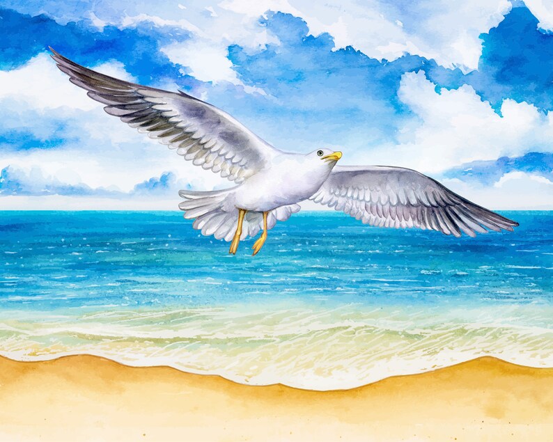 Seagull Paint by Number Kit Ocean Scene Paint by Number Kit Etsy