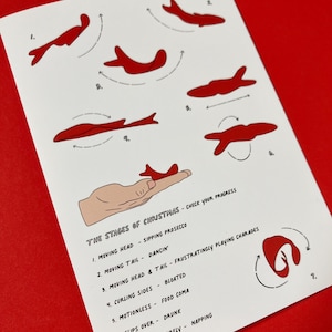 Biglietto di Natale illustrato con pesce che dice la fortuna