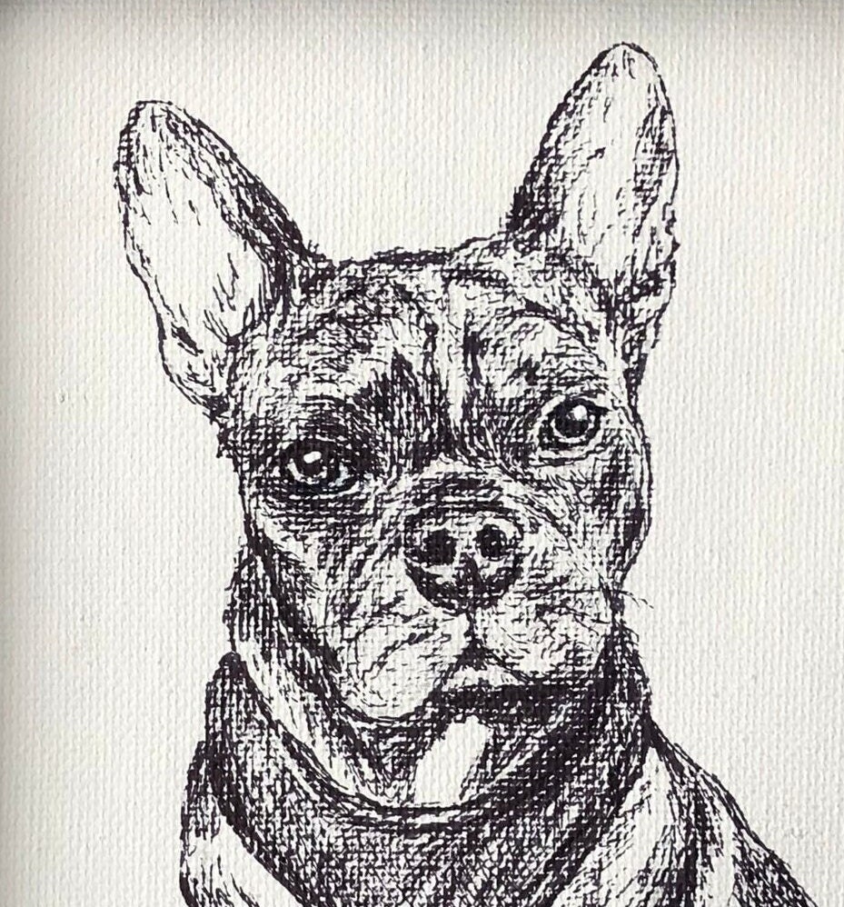 Custom Pet Portrait Hand Drawn Sketch Pencil and Ink on - Etsy