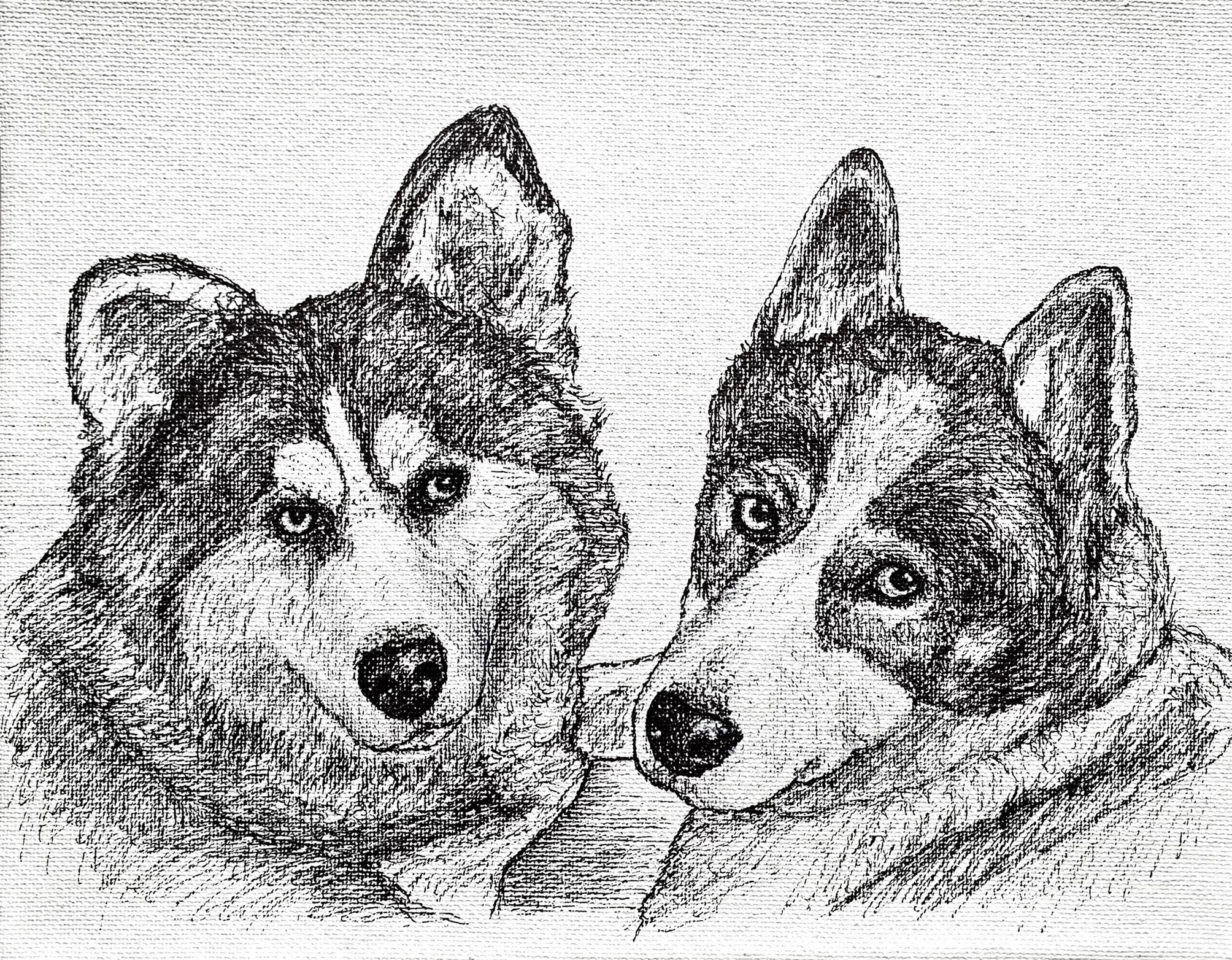 Custom Pet Portrait Hand Drawn Sketch Pencil and Ink on - Etsy