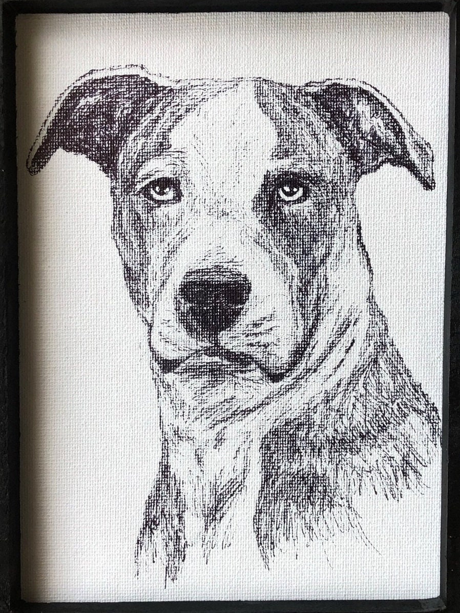 Custom Pet Portrait Hand Drawn Sketch Pencil and Ink on - Etsy