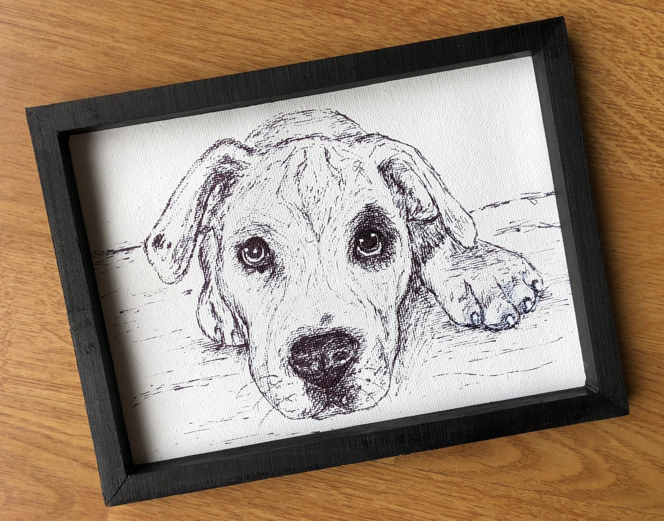 Custom Pet Portrait Hand Drawn Sketch Pencil and Ink on - Etsy