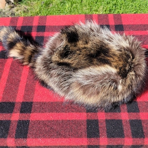 Raccoon Fur Hat - Davy Crockett Style image 7