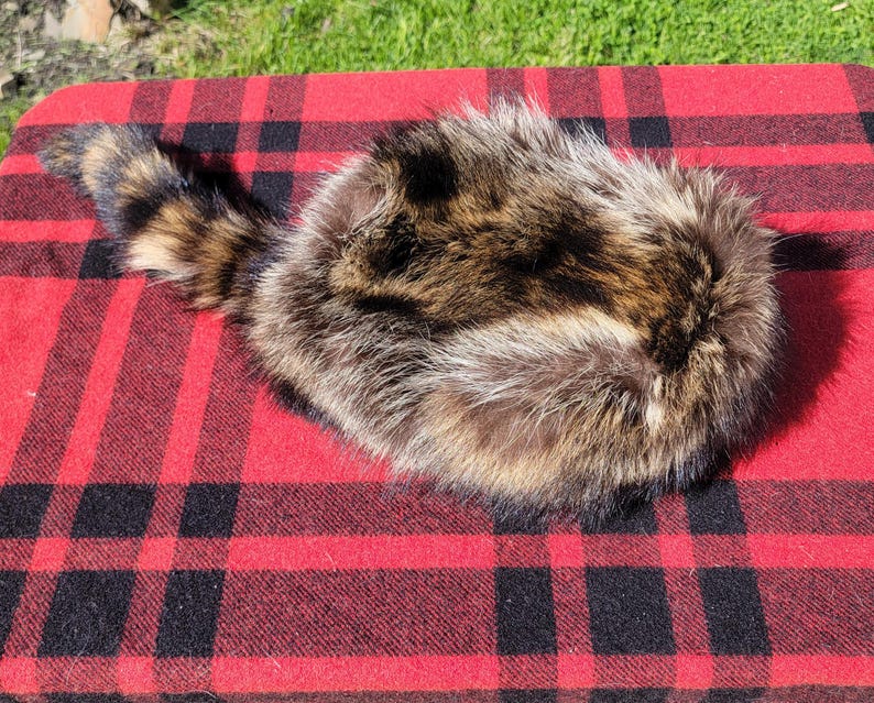 Raccoon Fur Hat - Davy Crockett Style image 7