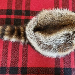 Raccoon Fur Hat - Davy Crockett Style image 6