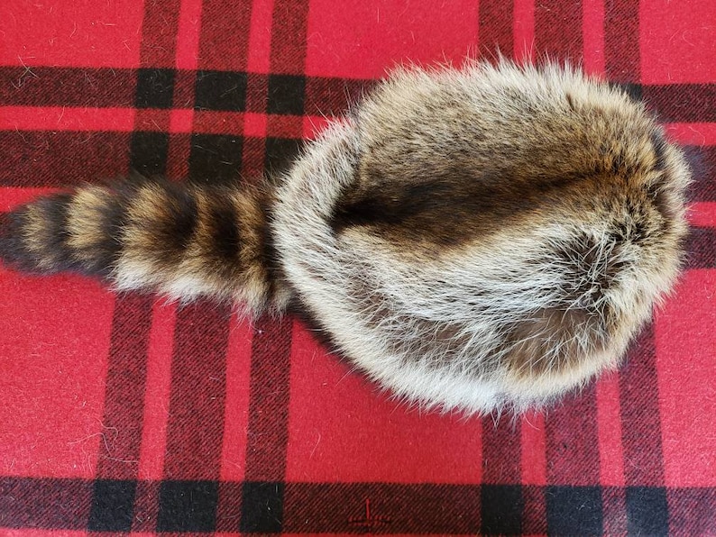 Raccoon Fur Hat - Davy Crockett Style image 6