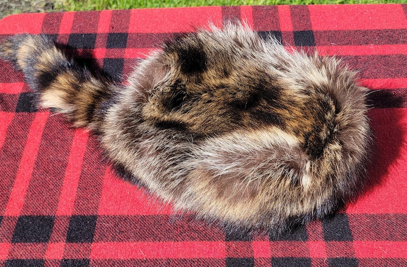 Raccoon Fur Hat - Davy Crockett Style image 10