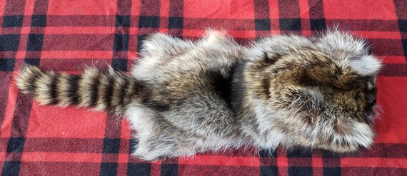 Raccoon Fur Hat Mountain Man Style 