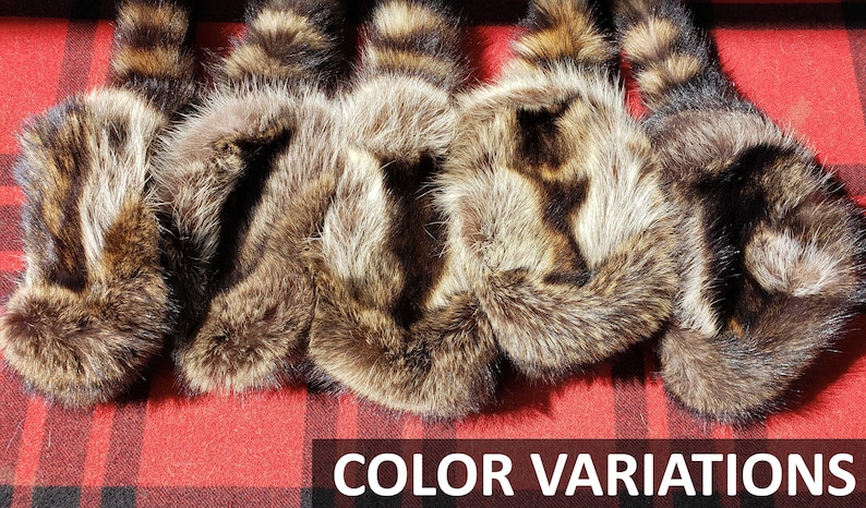 Raccoon Fur Hat - Davy Crockett Style image 9