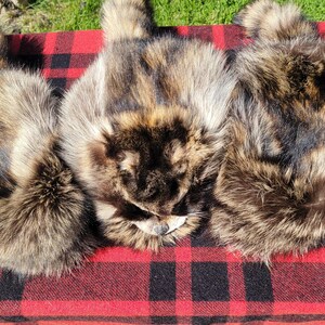 Raccoon Fur Hat - Davy Crockett Style image 8