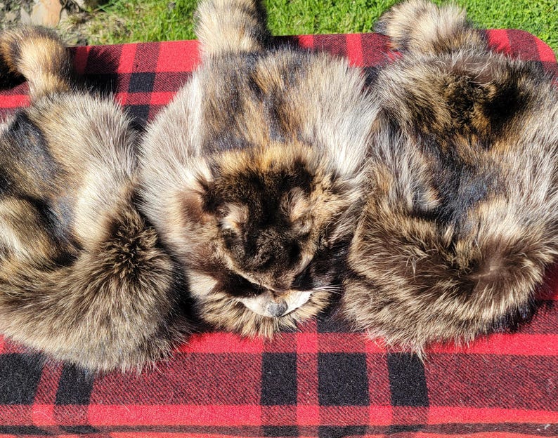 Raccoon Fur Hat - Davy Crockett Style image 8